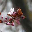Hikes, March 21, 2025, 03/21/2025, Spring Senses Hike