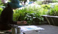Workshops, June 19, 2019, 06/19/2019, Elements of Nature Drawing