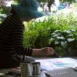 Workshops, July 31, 2019, 07/31/2019, Elements of Nature Drawing