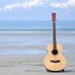 Concerts, October 08, 2023, 10/08/2023, Bluegrass Duo in the Park