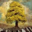 Concerts, May 23, 2025, 05/23/2025, Betrayal and Passion in Handel's Radamisto (1720)