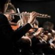 Concerts, May 18, 2025, 05/18/2025, Beethoven and More at a Landmark Venue
