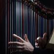 Concerts, April 15, 2025, 04/15/2025, First Prize Laureate Harpist Plays Faur&eacute;, Debussy,&nbsp;J. S. Bach, and More&nbsp;