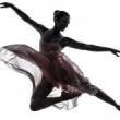 Dance Performances, June 07, 2025, 06/07/2025, Ballet: Timeless Story of Forbidden Love