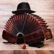 Concerts, November 17, 2025, 11/17/2025, The World's Most Important Accordionist Performs Works of Romantic Composer
