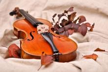 Concerts, April 29, 2025, 04/29/2025, Violin Pieces by Schubert, Bartok and More