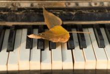 Concerts, April 08, 2025, 04/08/2025, Piano Works by Poulenc and More (In Person AND Online!)
