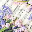 Concerts, May 13, 2025, 05/13/2025, 'Bold, Daring' Flutist Plays Bach and more