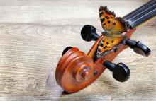 Concerts, May 19, 2025, 05/19/2025, String Duo Perform Works of Bach and Others