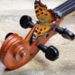 Concerts, May 19, 2025, 05/19/2025, String Duo Perform Works of Bach and Others