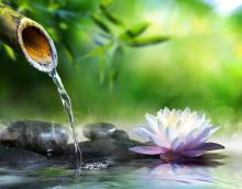 Workshops, May 02, 2025, 05/02/2025, Outdoor Tai Chi for All Ages