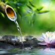 Workshops, May 02, 2025, 05/02/2025, Outdoor Tai Chi for All Ages