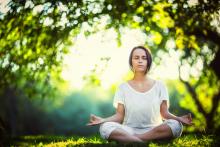 Workshops, October 22, 2025, 10/22/2025, Yoga in the Garden