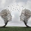Tours, May 08, 2025, 05/08/2025, Explore Hidden Worlds Through Nature and Discovery