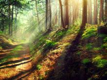 Hikes, April 13, 2025, 04/13/2025, Nature Exploration Hike