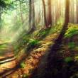 Hikes, April 13, 2025, 04/13/2025, Nature Exploration Hike