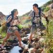 Hikes, April 05, 2025, 04/05/2025, Nature Meditation Hike