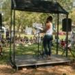 Poetry Readings, July 12, 2025, 07/12/2025, Poetry Festival on Governors Island