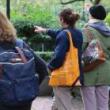 Birdwatchings, May 05, 2025, 05/05/2025, Spring Birdwatching in the Park