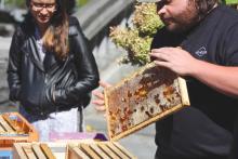 Talks, April 17, 2025, 04/17/2025, Meet the Beekeeper