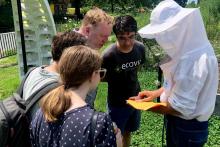 Festivals, May 18, 2025, 05/18/2025, Celebrate Everyone's Favorite Pollinator at the World Bee Day Festival
