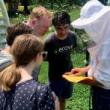 Festivals, May 18, 2025, 05/18/2025, Celebrate Everyone's Favorite Pollinator at the World Bee Day Festival