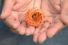Workshops, April 07, 2025, 04/07/2025, Morning Meditation