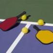 Workshops, May 01, 2025, 05/01/2025, Pick-Up Pickleball