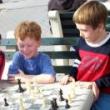 Workshops, April 22, 2025, 04/22/2025, Drop-In Chess
