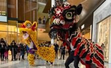 Dance Performances, February 07, 2026, 02/07/2026, Lunar New Year Lion Dance & Ribbon Twirling