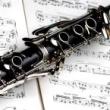 Concerts, March 31, 2025, 03/31/2025, Woodwind Duo Performs Works by Stravinsky, Rossini, and More (In Person AND Online!)
