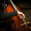 Concerts, May 17, 2025, 05/17/2025, Music on the Water: Premiering Six Ensemble Works by Korean-American Composers