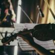 Concerts, April 27, 2025, 04/27/2025, Music on the Water: Award-Winning String&nbsp;Musicians Perform Works of Bach, Beethoven, and Dvorak