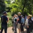 Park Walks, April 14, 2025, 04/14/2025, Park Horticulture Tour