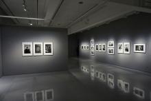 Opening Receptions, May 01, 2025, 05/01/2025, Boundary-Pushing Artwork on Fear, Pain, and Desire: Night Shift