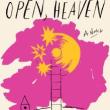 Author Readings, April 14, 2025, 04/14/2025, Author&nbsp;Se&aacute;n Hewitt Reads and Discusses His Novel, Open, Heaven