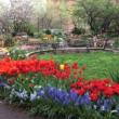 Festivals, April 19, 2025, 04/19/2025, Tulip Festival in Community Garden