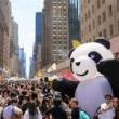 Festivals, May 10, 2025, 05/10/2025, Chinese Culture and Food Festival