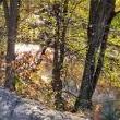 Tours, May 02, 2025, 05/02/2025, William Cullen Bryant: Visionary Who Planted the Seeds for Central Park
