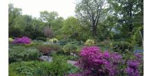 Tours, May 02, 2025, 05/02/2025, Exploring the Gardens of Fort Tryon Park