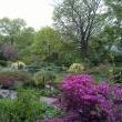 Tours, May 02, 2025, 05/02/2025, Exploring the Gardens of Fort Tryon Park