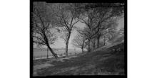 Tours, May 03, 2025, 05/03/2025, New York Writers Tour & Writing Session