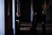 Concerts, May 01, 2025, 05/01/2025, 'Made in Austria': Works by Haydn, Mozart, Schubert, and More for Orchestra