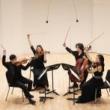 Concerts, May 01, 2025, 05/01/2025, Chamber Music Festival:&nbsp;Competition Winners&rsquo; Concert&nbsp;(In Person AND Online!)
