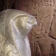 Lectures, May 06, 2025, 05/06/2025, Rediscovering the Libyan Pharoahs of Egypt with Renowned Egyptologist