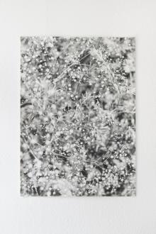 Opening Receptions, May 06, 2025, 05/06/2025, Reflections of Nature