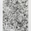 Opening Receptions, May 06, 2025, 05/06/2025, Reflections of Nature