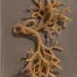 Opening Receptions, May 01, 2025, 05/01/2025, Triad of Openings: Sculptures, Stories, and Moving Portraits