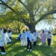 Museumss, May 10, 2025, 05/10/2025, Exploring Tempation through Art and Drama at a Beautiful Museum