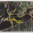 Opening Receptions, May 15, 2025, 05/15/2025, New Perspectives in Painting and Sculpture